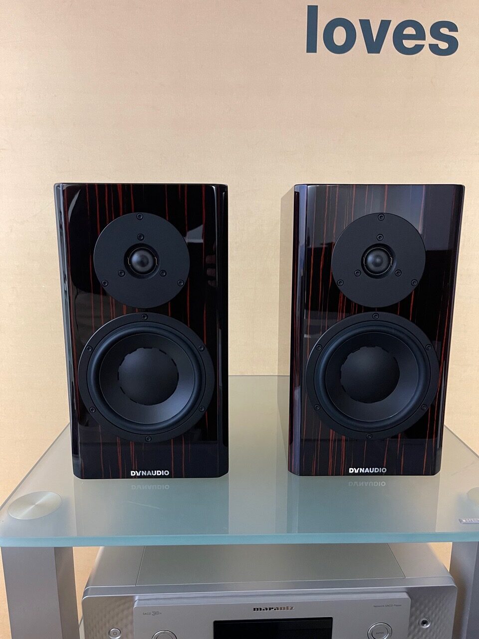 Special Forty von Dynaudio in Black Vine in Stuttgart