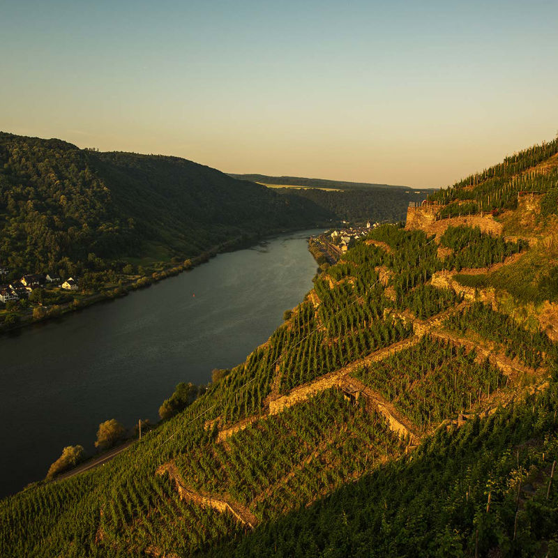 weingut-knebel