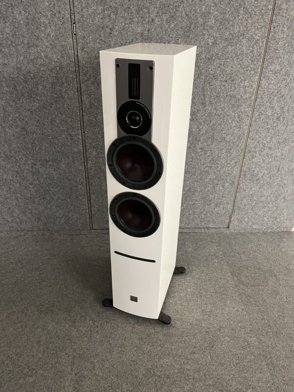 Dali - Rubicon 6 C - Wireless Aktiv-Standlautsprecher (Paar) - aus der Vorführung