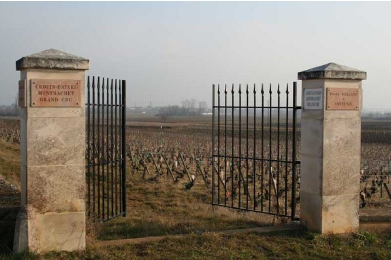 Domaine Roger Belland – Burgunder-Weine von Weltklasse jetzt in Stuttgart genießen und kaufen