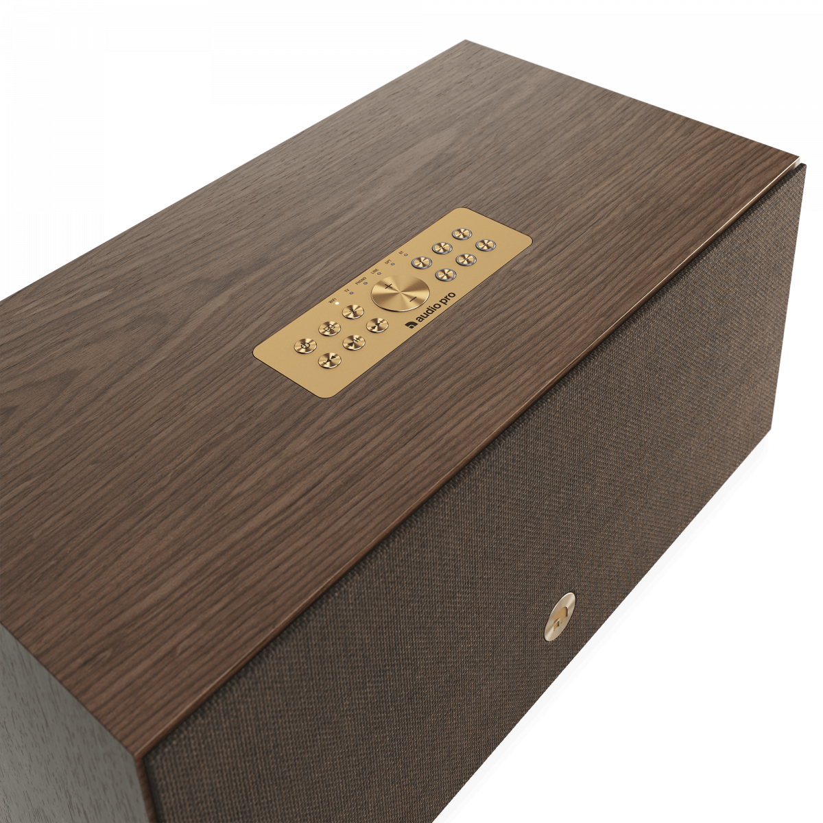 audiopro_C20 Audio Pro - Generation W, WiiM, Bluetooth-Lautsprecher W-Lan Lautsprecher in Stuttgart testen und kaufen